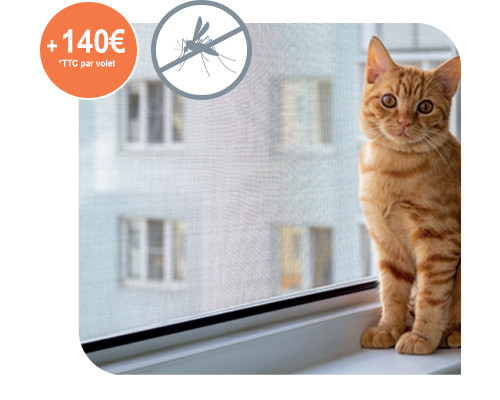 Moustiquaire volet roulant solaire Bubendorff Moustiquaire volet roulant solaire Bubendorff